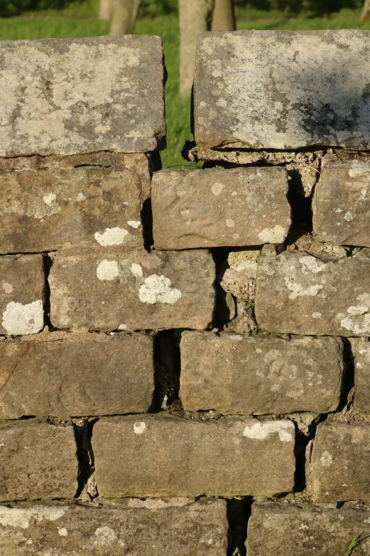 Stone Wall Repair in Fort Lauderdale, FL